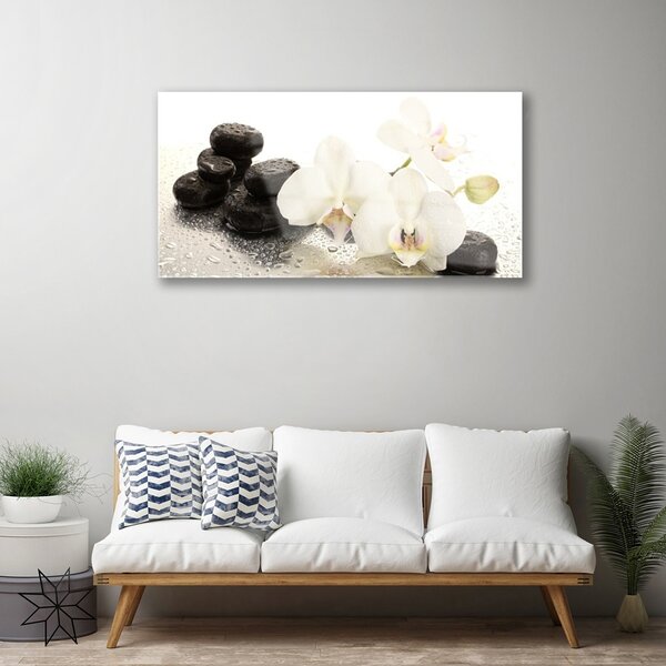 Skleneny obraz Kvet kamene rastlina 100x50 cm 2 Prívesky