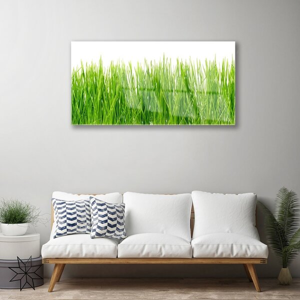 Skleneny obraz Tráva rastlina príroda 100x50 cm 2 Prívesky