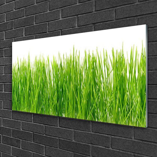 Skleneny obraz Tráva rastlina príroda 100x50 cm 2 Prívesky