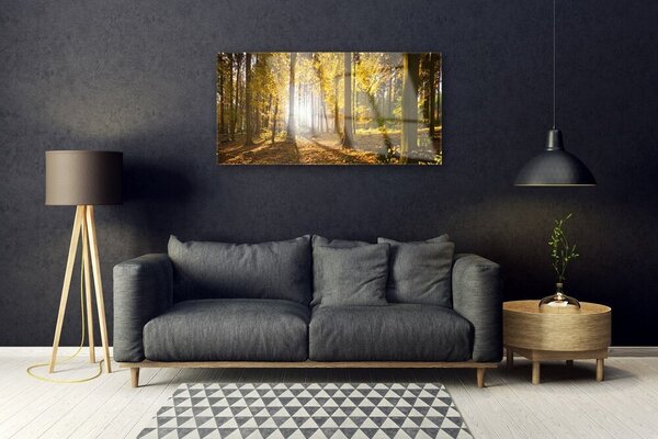 Skleneny obraz Les listy rastlina príroda 100x50 cm 2 Prívesky