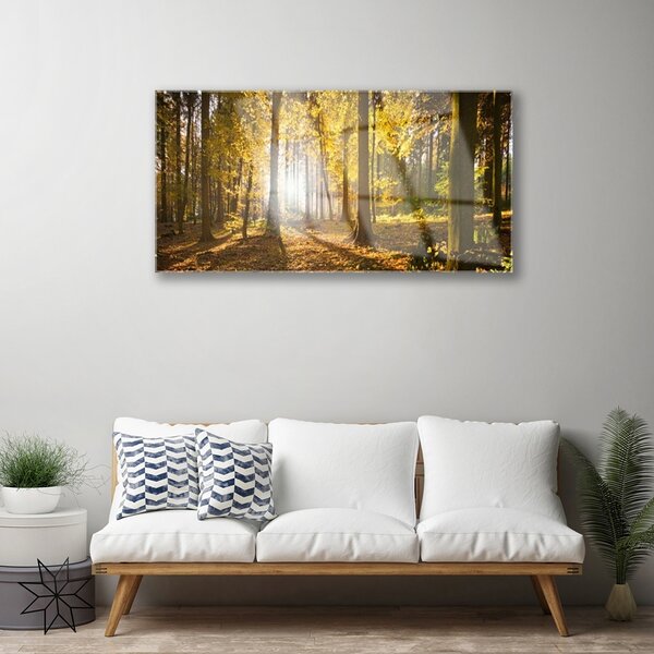 Skleneny obraz Les listy rastlina príroda 100x50 cm 2 Prívesky