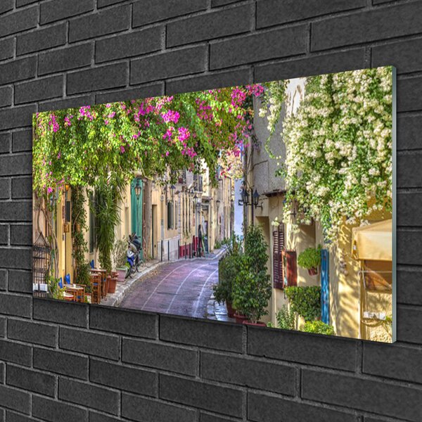 Skleneny obraz Aleje kvety domy rastlina 100x50 cm 2 Prívesky