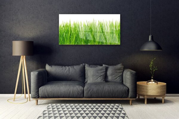 Skleneny obraz Tráva rastlina príroda 100x50 cm 2 Prívesky