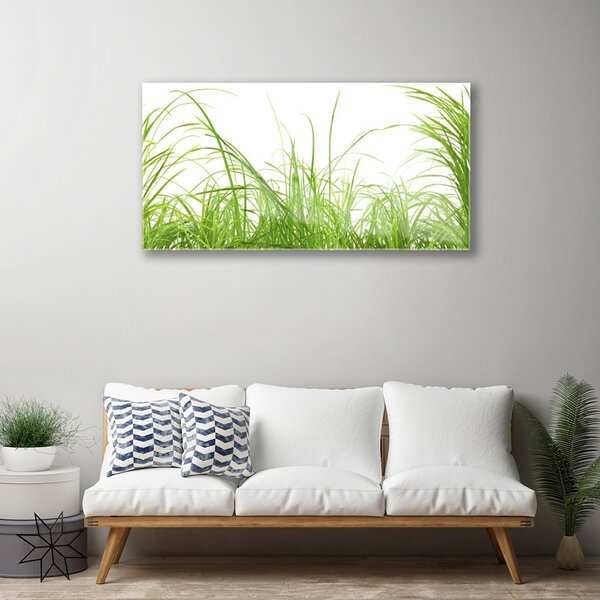 Skleneny obraz Tráva rastlina príroda 100x50 cm 2 Prívesky