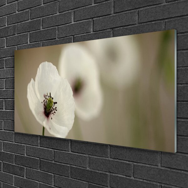 Skleneny obraz Kvet rastlina príroda 100x50 cm 2 Prívesky
