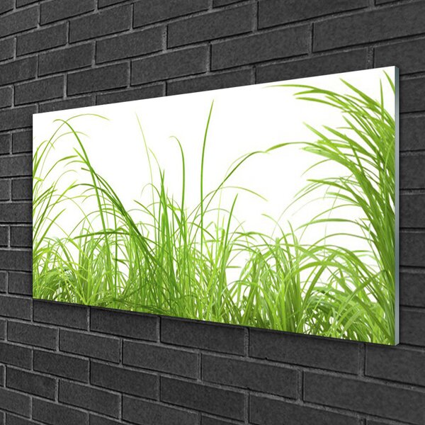 Skleneny obraz Tráva rastlina príroda 100x50 cm 2 Prívesky