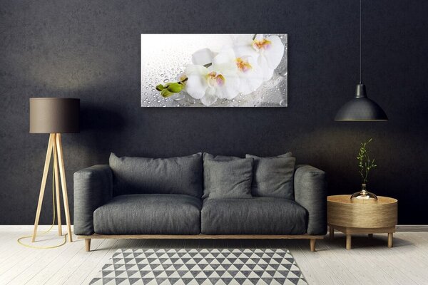 Skleneny obraz Kvety rastlina príroda 100x50 cm 2 Prívesky