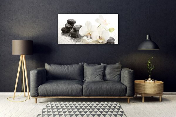 Skleneny obraz Kvet kamene rastlina 100x50 cm 2 Prívesky