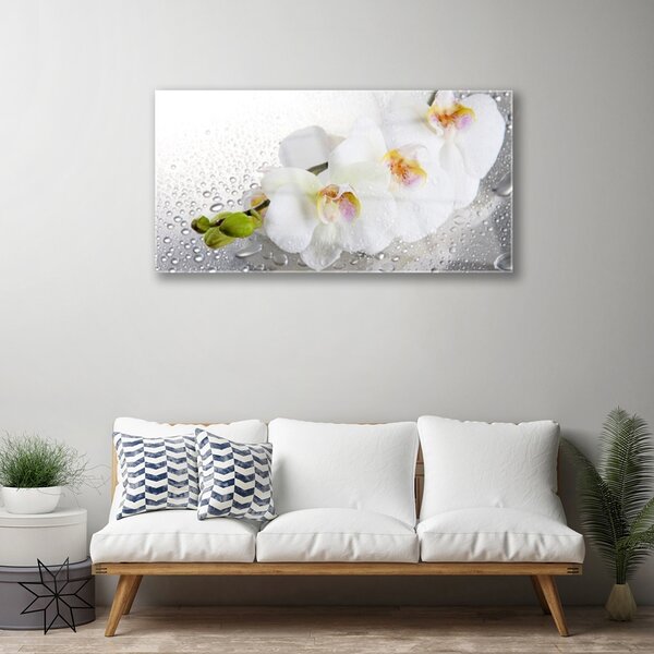 Skleneny obraz Kvety rastlina príroda 100x50 cm 2 Prívesky