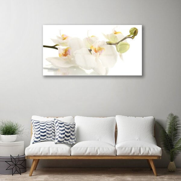 Skleneny obraz Kvety rastlina príroda 100x50 cm 2 Prívesky