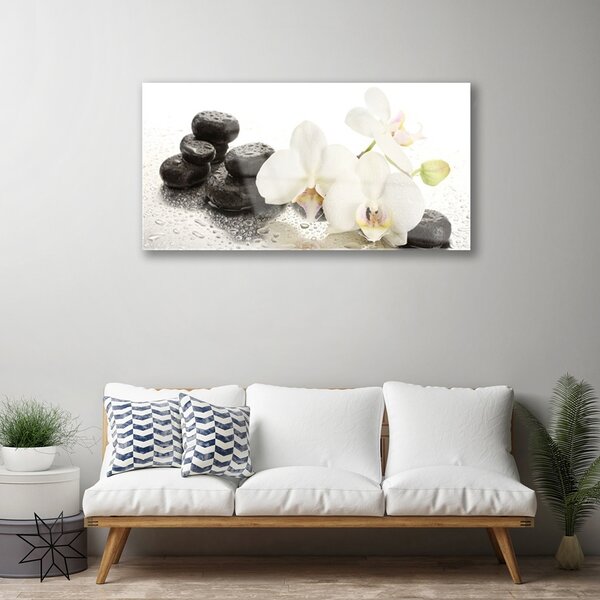 Skleneny obraz Kvet kamene rastlina 100x50 cm 2 Prívesky