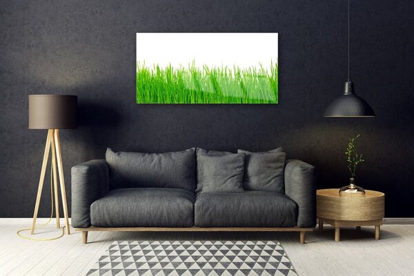 Skleneny obraz Tráva rastlina príroda 100x50 cm 2 Prívesky