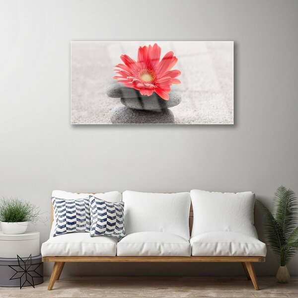Skleneny obraz Kvet kamene umenie 100x50 cm 2 Prívesky