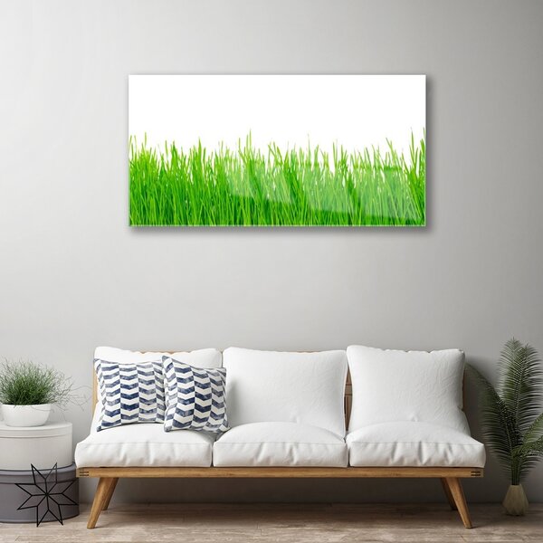 Skleneny obraz Tráva rastlina príroda 100x50 cm 2 Prívesky