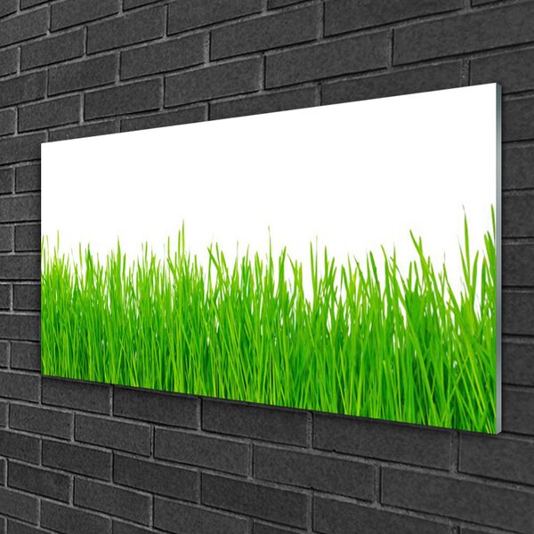 Skleneny obraz Tráva rastlina príroda 100x50 cm 2 Prívesky