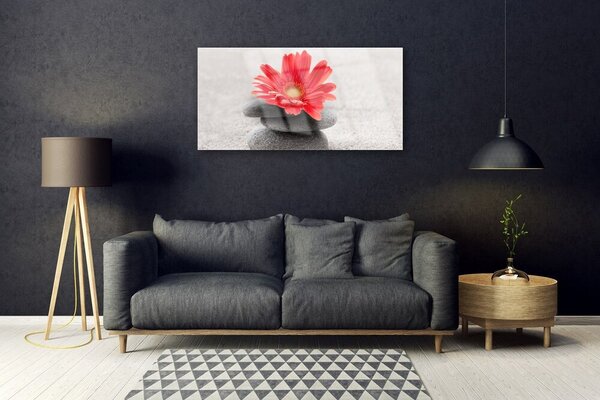 Skleneny obraz Kvet kamene umenie 100x50 cm 2 Prívesky