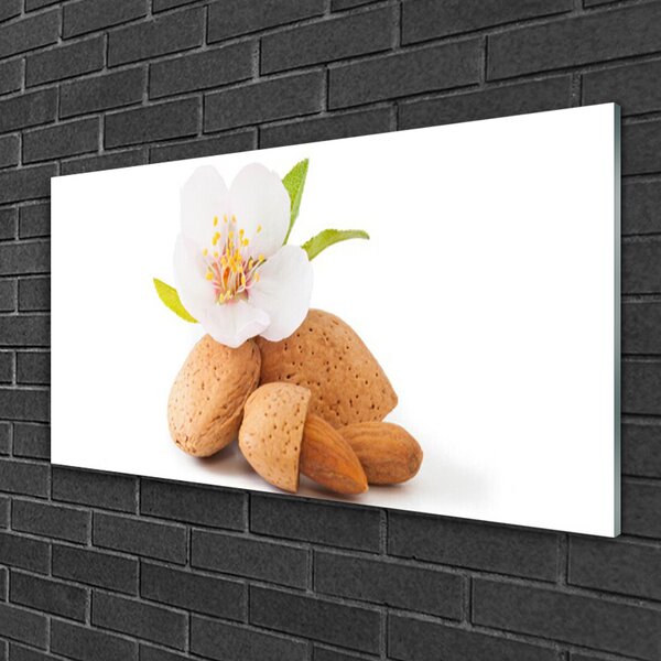 Skleneny obraz Kvet pistácie príroda 100x50 cm 2 Prívesky