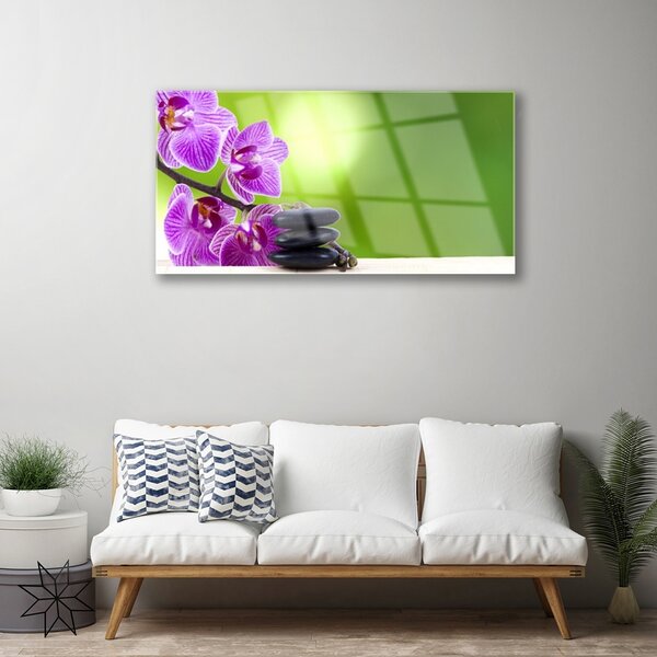 Skleneny obraz Kvet kamene rastlina 100x50 cm 2 Prívesky