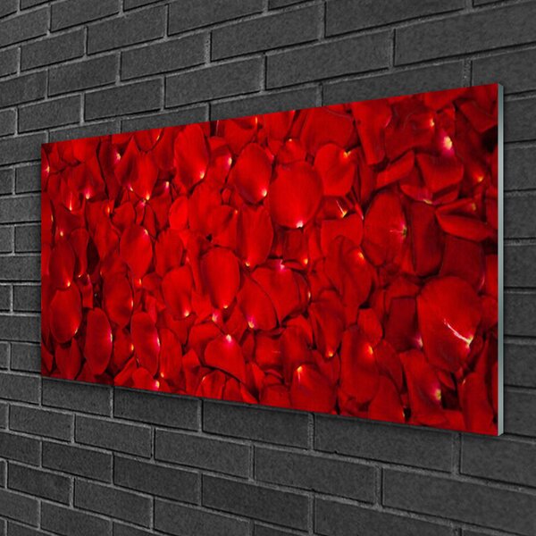Skleneny obraz Plátky rastlina príroda 100x50 cm 2 Prívesky