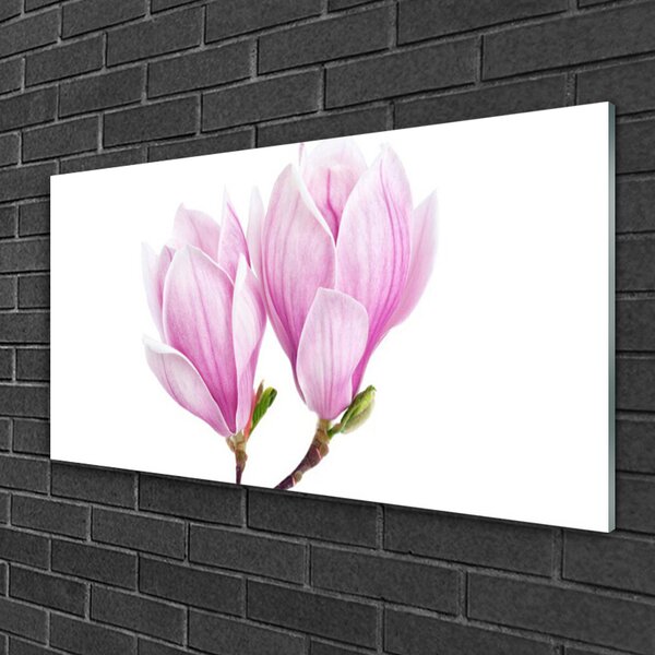 Skleneny obraz Kvet rastlina príroda 100x50 cm 2 Prívesky