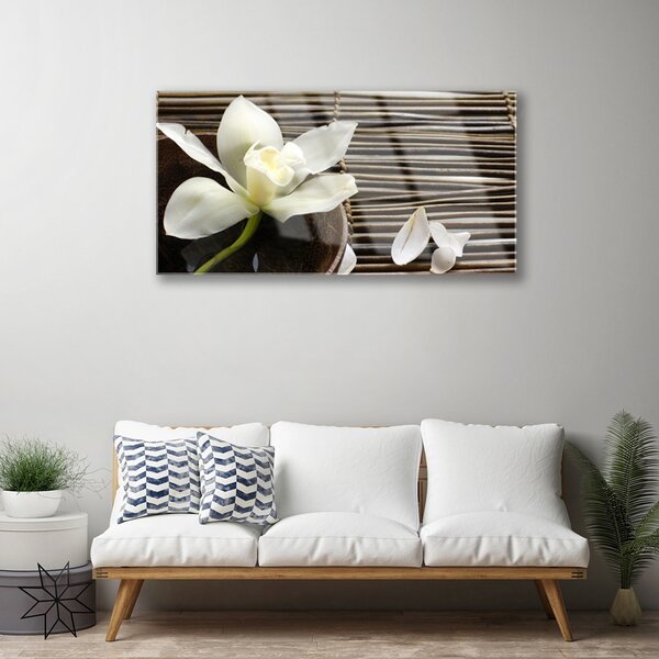 Skleneny obraz Kvet rastlina príroda 100x50 cm 2 Prívesky
