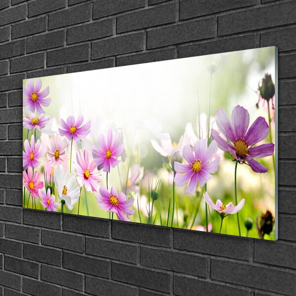 Skleneny obraz Kvety rastlina príroda 100x50 cm 2 Prívesky