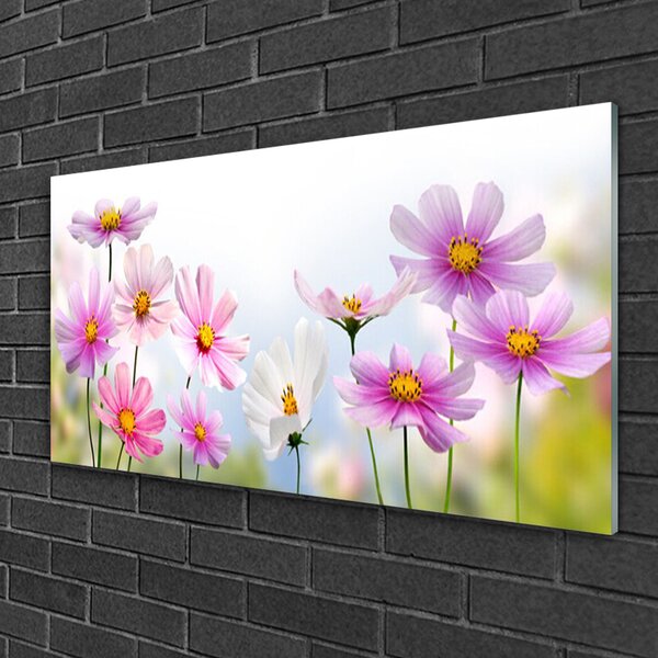 Skleneny obraz Kvety rastlina príroda 100x50 cm 2 Prívesky