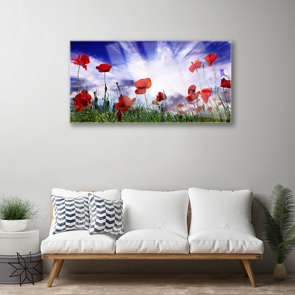 Skleneny obraz Maky rastlina príroda 100x50 cm 2 Prívesky