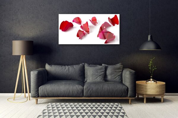 Skleneny obraz Plátky rastlina príroda 100x50 cm 2 Prívesky