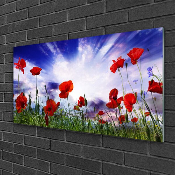 Skleneny obraz Maky rastlina príroda 100x50 cm 2 Prívesky