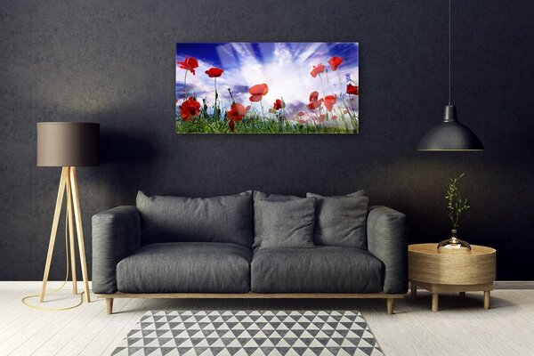 Skleneny obraz Maky rastlina príroda 100x50 cm 2 Prívesky