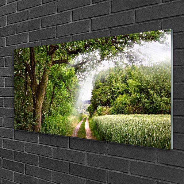 Skleneny obraz Stromy chodník príroda 100x50 cm 2 Prívesky