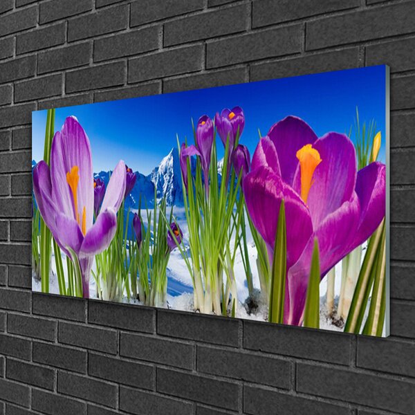 Skleneny obraz Kvety rastlina príroda 100x50 cm 2 Prívesky