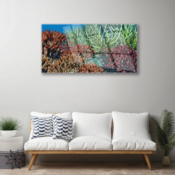 Skleneny obraz Koralový útes príroda 100x50 cm 2 Prívesky