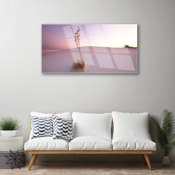 Skleneny obraz Púšť písek krajina 100x50 cm 2 Prívesky