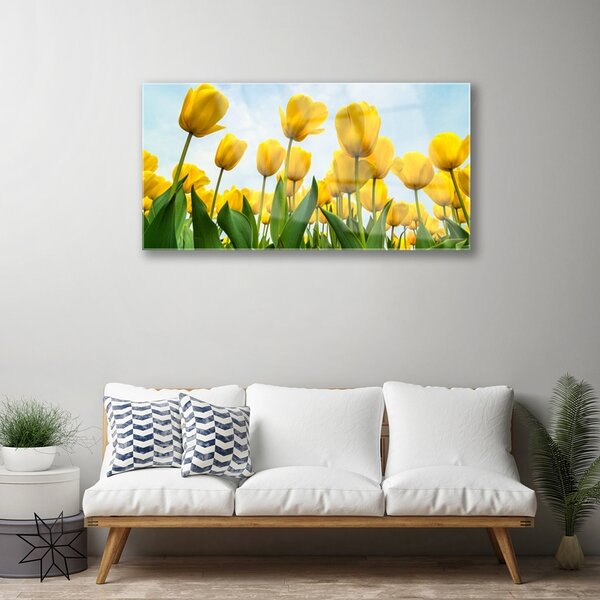 Skleneny obraz Tulipány kvety rastlina 100x50 cm 2 Prívesky