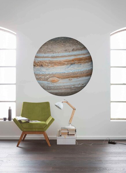 FOTOTAPETA velikost: 125 cm Komar - Online Only bytové doplnky, Online Only