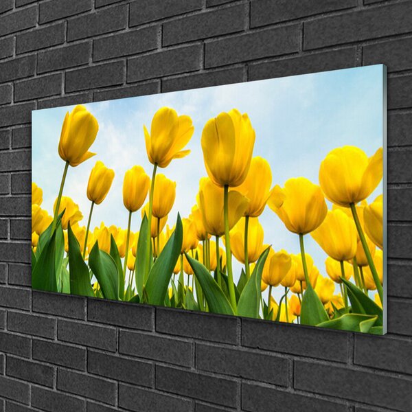 Skleneny obraz Tulipány kvety rastlina 100x50 cm 2 Prívesky