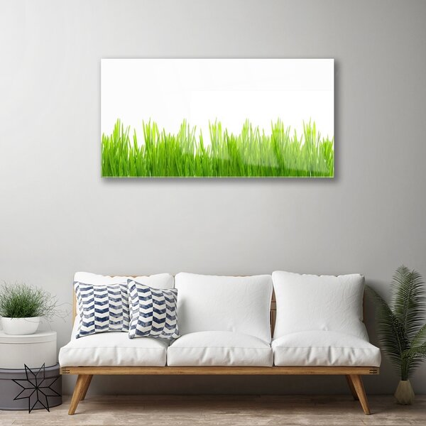 Skleneny obraz Tráva rastlina príroda 100x50 cm 2 Prívesky