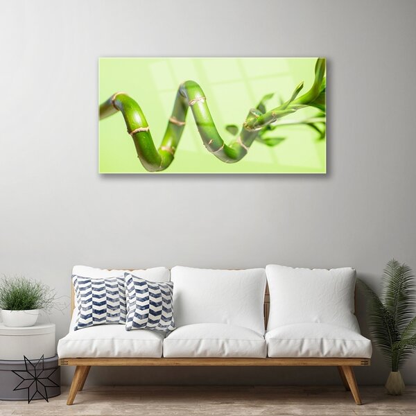 Skleneny obraz Bambus rastlina príroda 100x50 cm 2 Prívesky