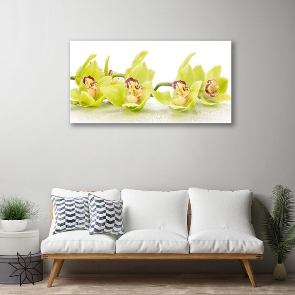 Skleneny obraz Kvety rastlina príroda 100x50 cm 2 Prívesky