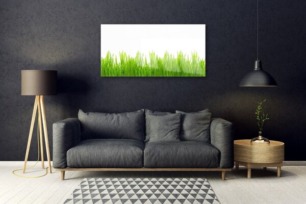 Skleneny obraz Tráva rastlina príroda 100x50 cm 2 Prívesky