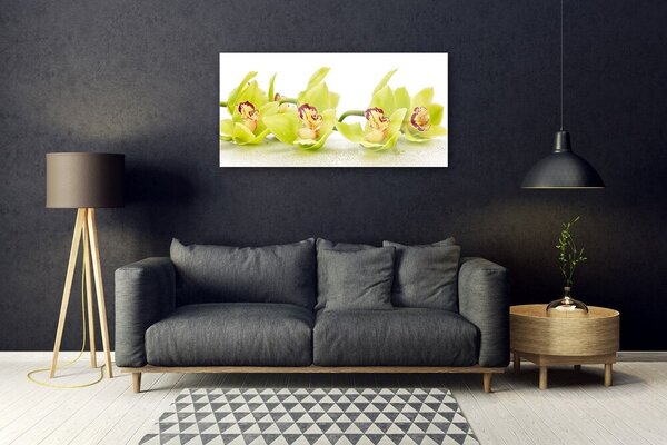 Skleneny obraz Kvety rastlina príroda 100x50 cm 2 Prívesky