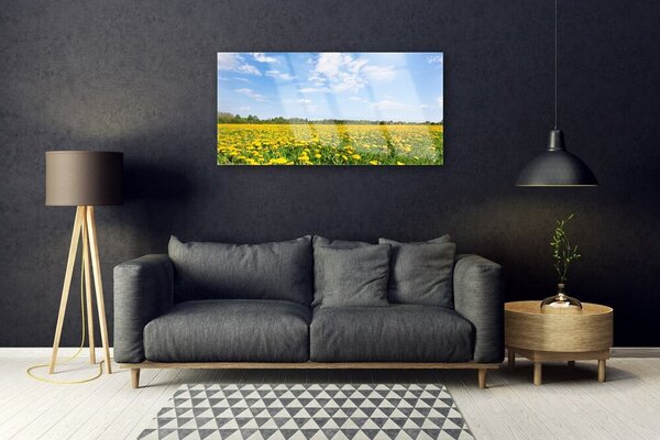 Obraz na skle Púpava príroda 100x50 cm 2 Prívesky