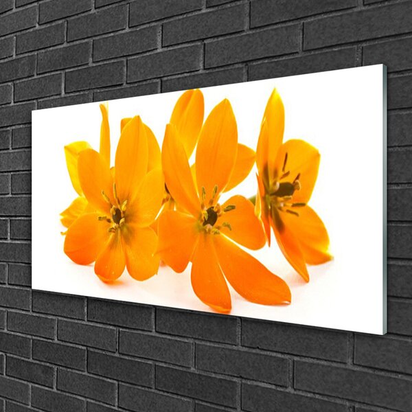 Obraz na skle Oranžové kvety 100x50 cm 2 Prívesky