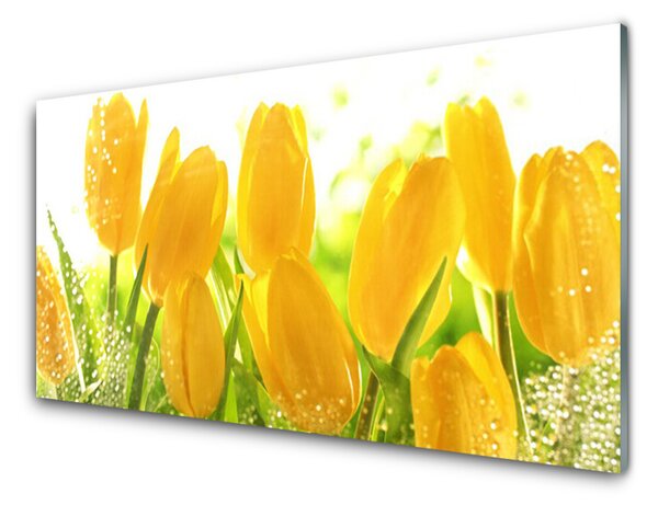Skleneny obraz Tulipány kvety rastlina 100x50 cm 2 Prívesky