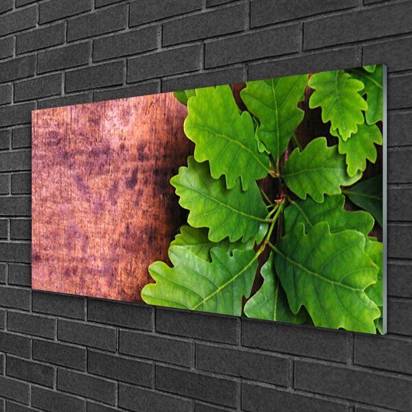 Obraz na skle Listy dub 100x50 cm 2 Prívesky