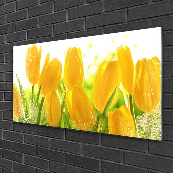 Skleneny obraz Tulipány kvety rastlina 100x50 cm 2 Prívesky