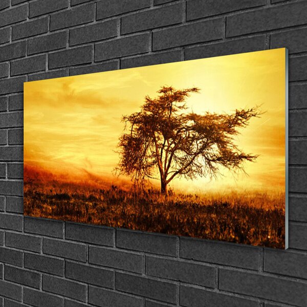 Obraz na skle Strom príroda 100x50 cm 2 Prívesky