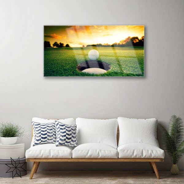Obraz na skle Golfový loptička tráva príroda 100x50 cm 2 Prívesky